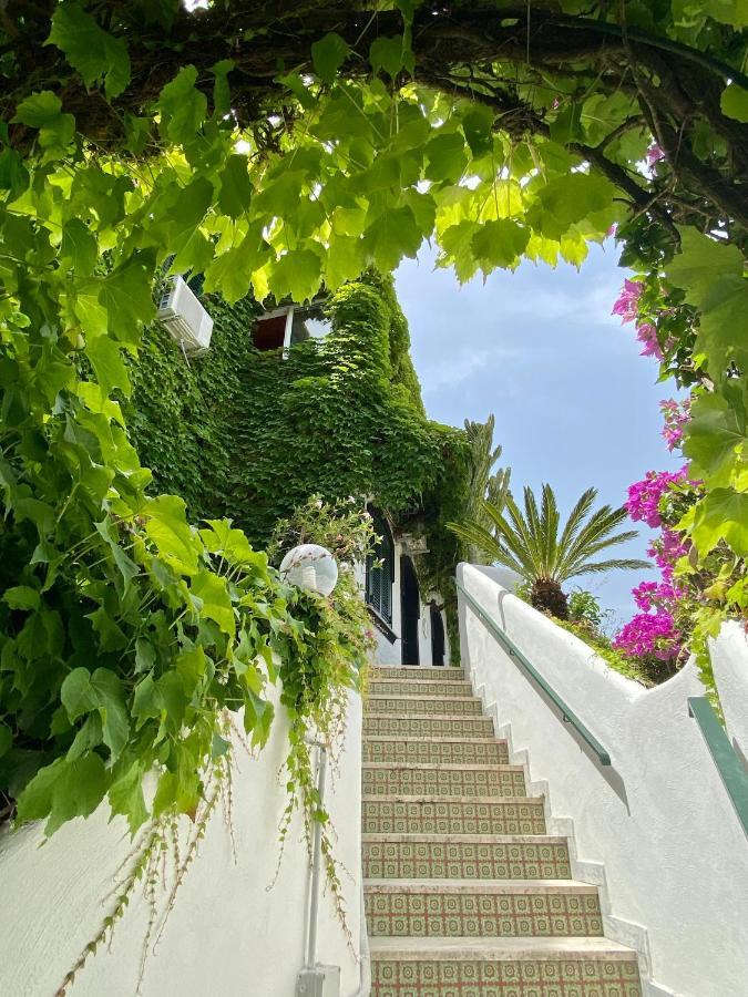 Casa Malo' Bed & Breakfast Ischia Exterior foto